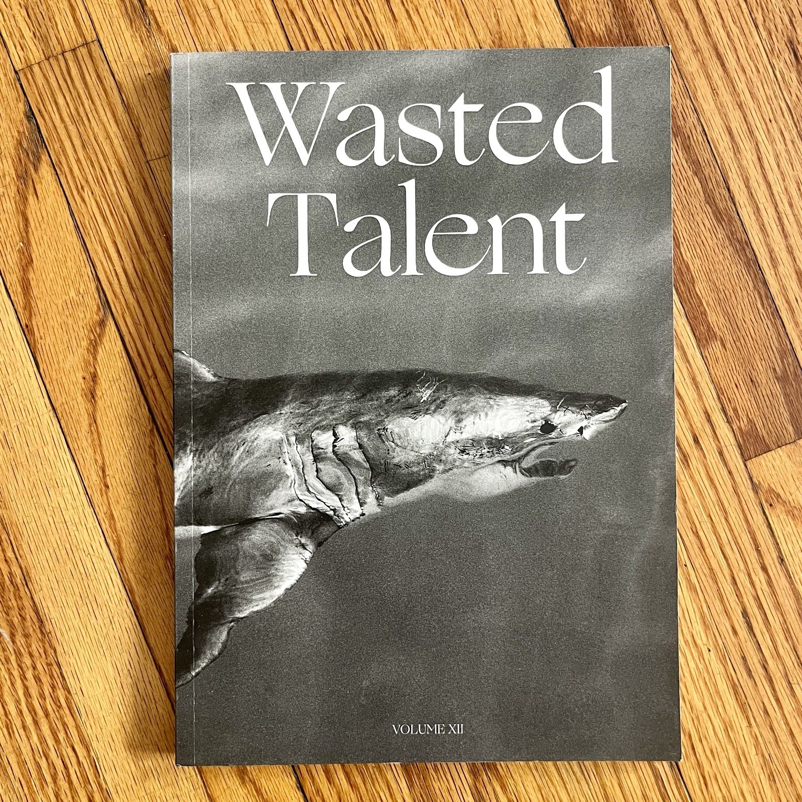 Wasted Talent Magazine Vol XII 2023 Surf Skate Board Photography Fashion