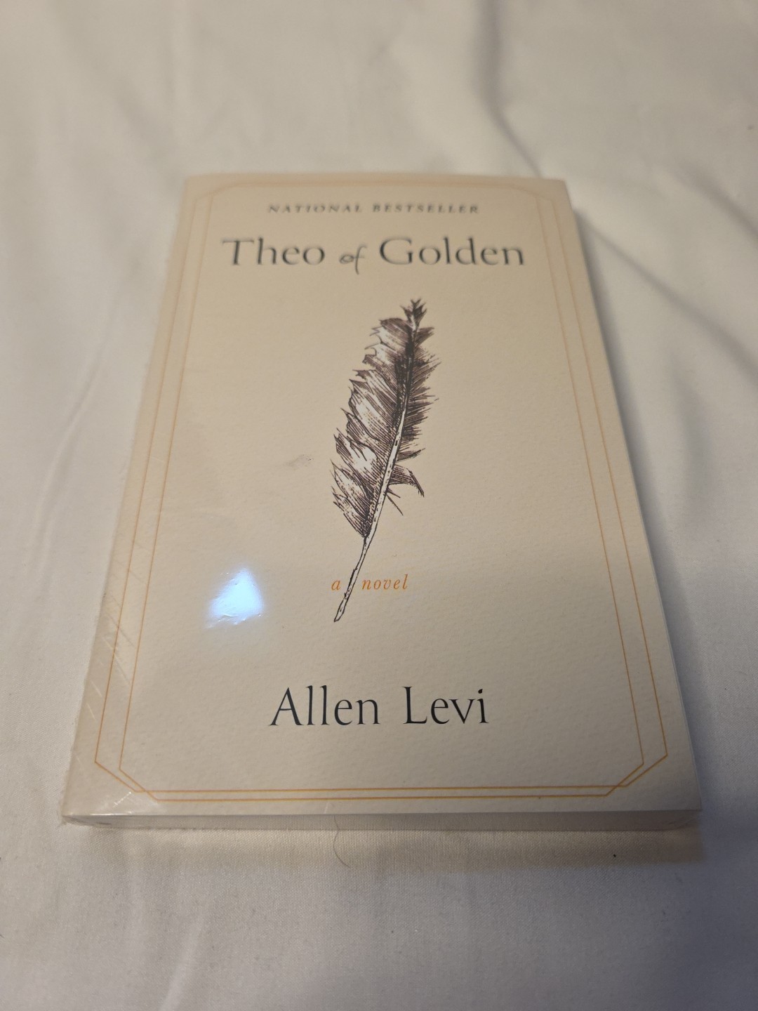 Theo of Golden by Allen Levi (English) Paperback Book Brand New Sealed