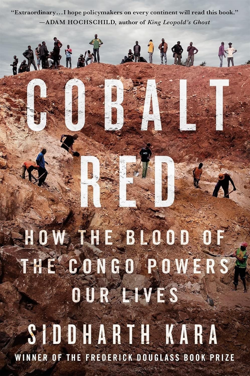 Cobalt Red : How the Blood of the Congo Powers Our Lives by Siddharth Kara…