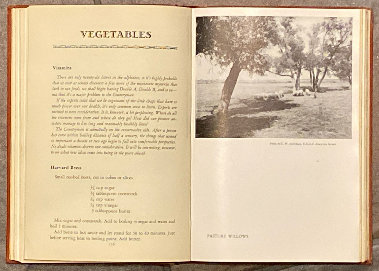 The Countryman’s Cookbook | Haydn S. Pearson