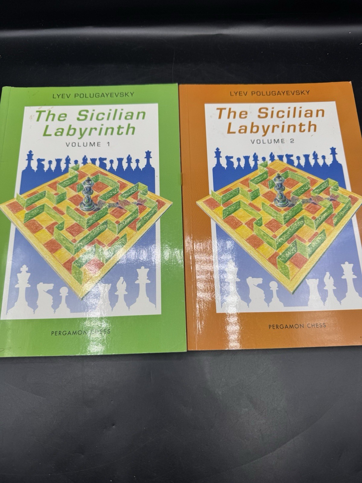 Chess books: The Sicilian Labyrinth, Vol. 1 and 2