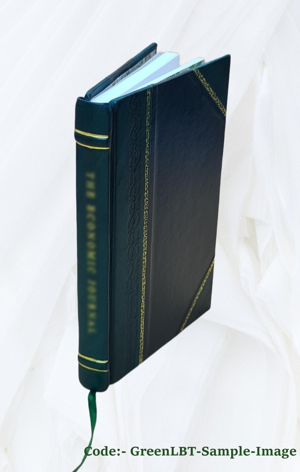 On Consumption, & Tuberculosis Of The Lungs.. 1873 By E. H. Ruddock Leatherbound