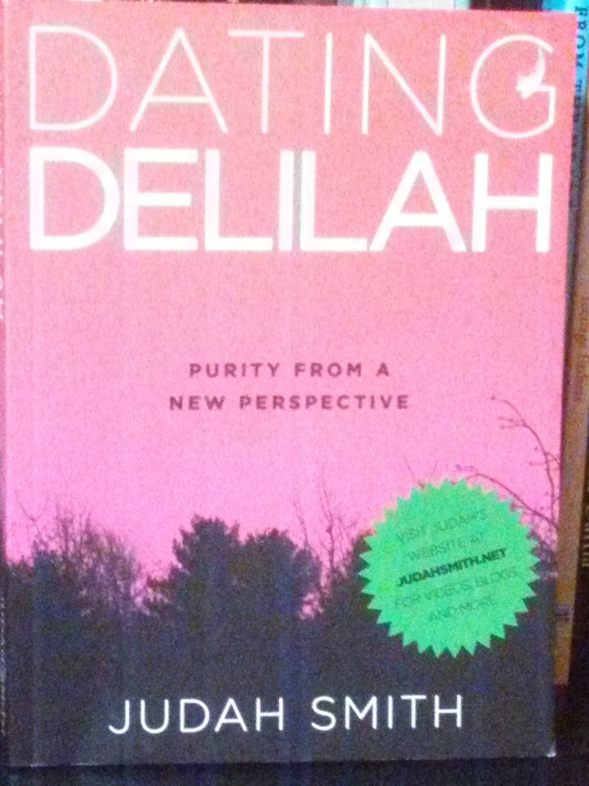 Dating Delilah. Purity From A New Perspective – paperback Judah Smith