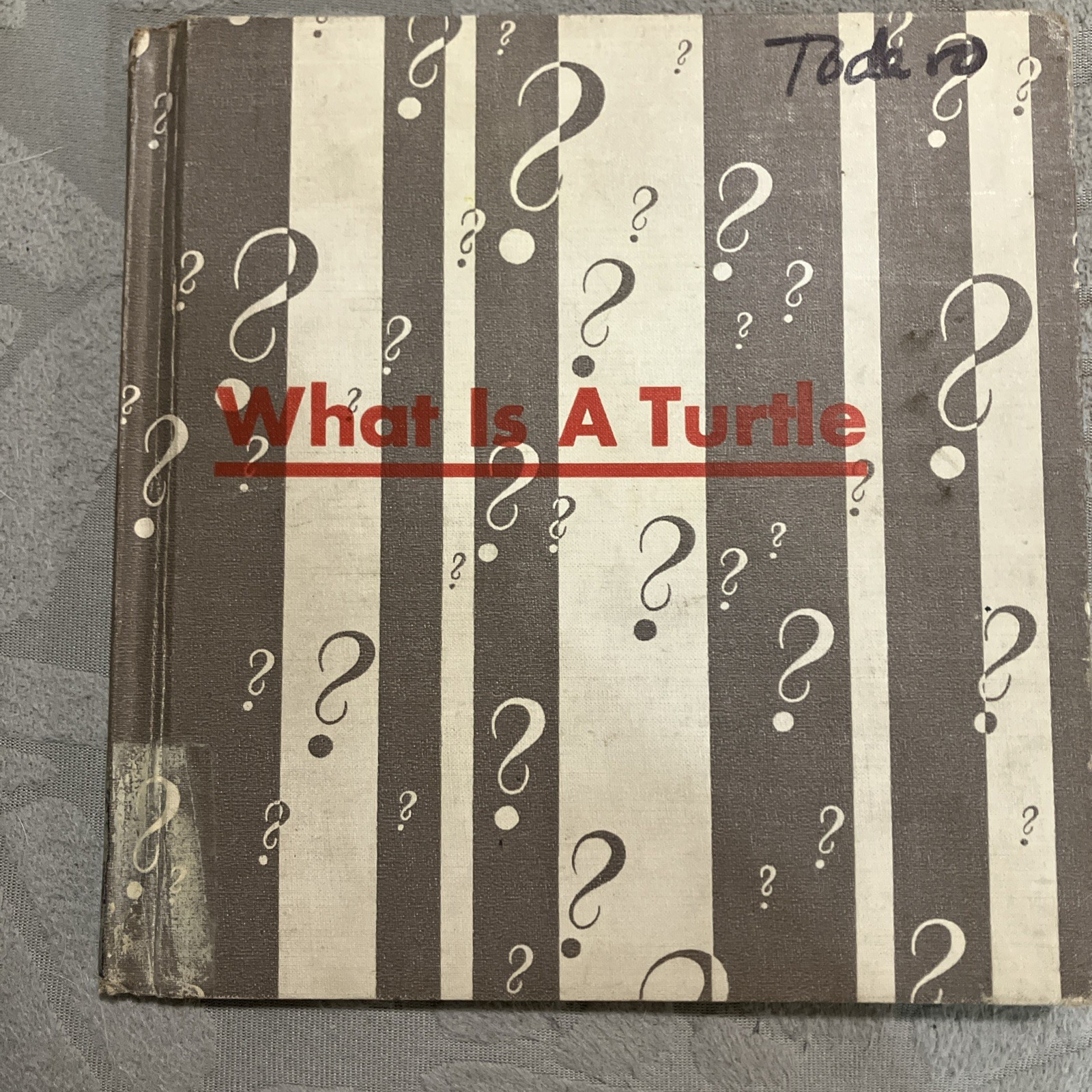 What is a Turtle [Hardcover] Gene Darby and Lucy and John Hawkinson