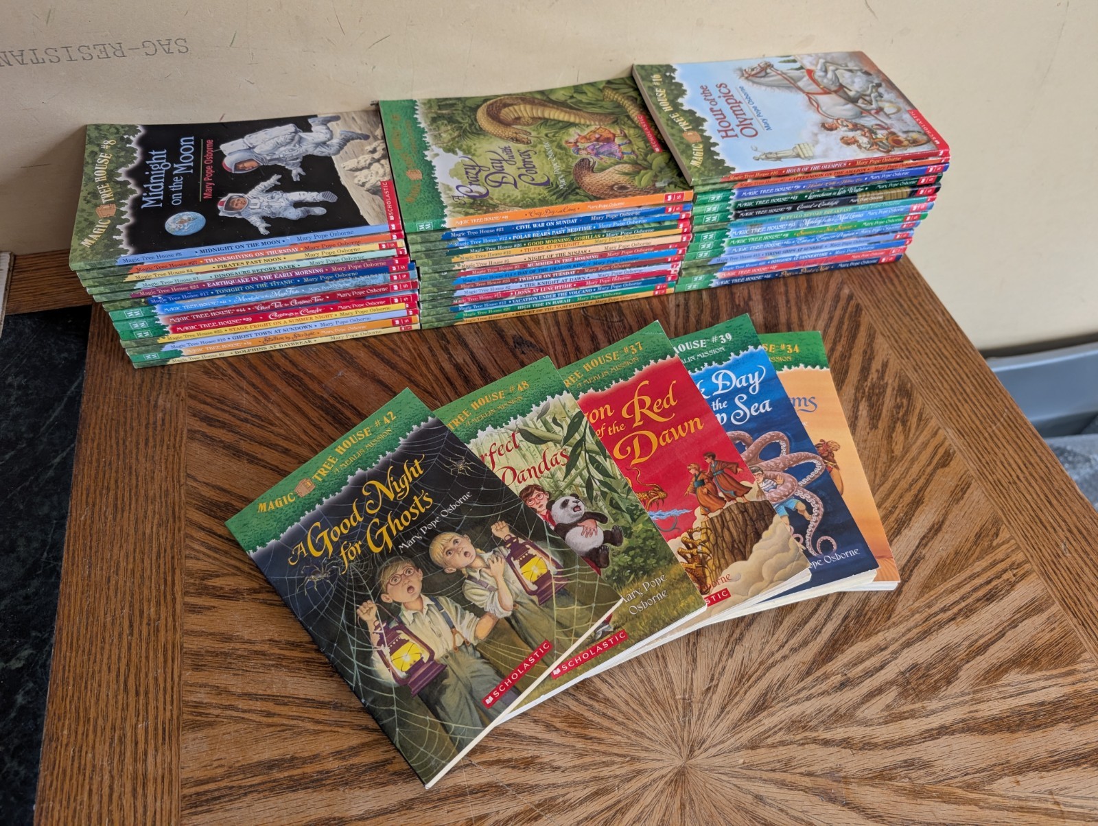 Magic Tree House Books Lot 45