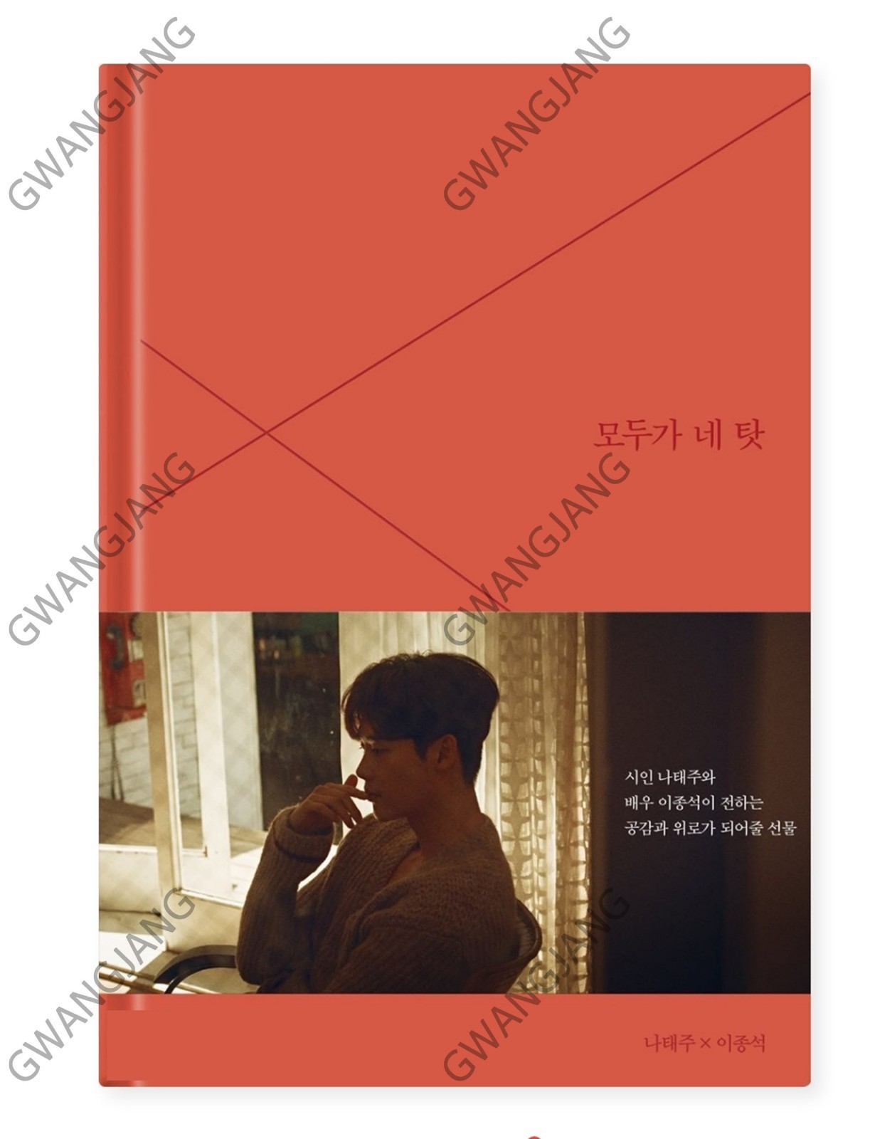 Lee Jong Suk Nataeju Poem Everything is Your Fault Poet Photo Book + DVD Set