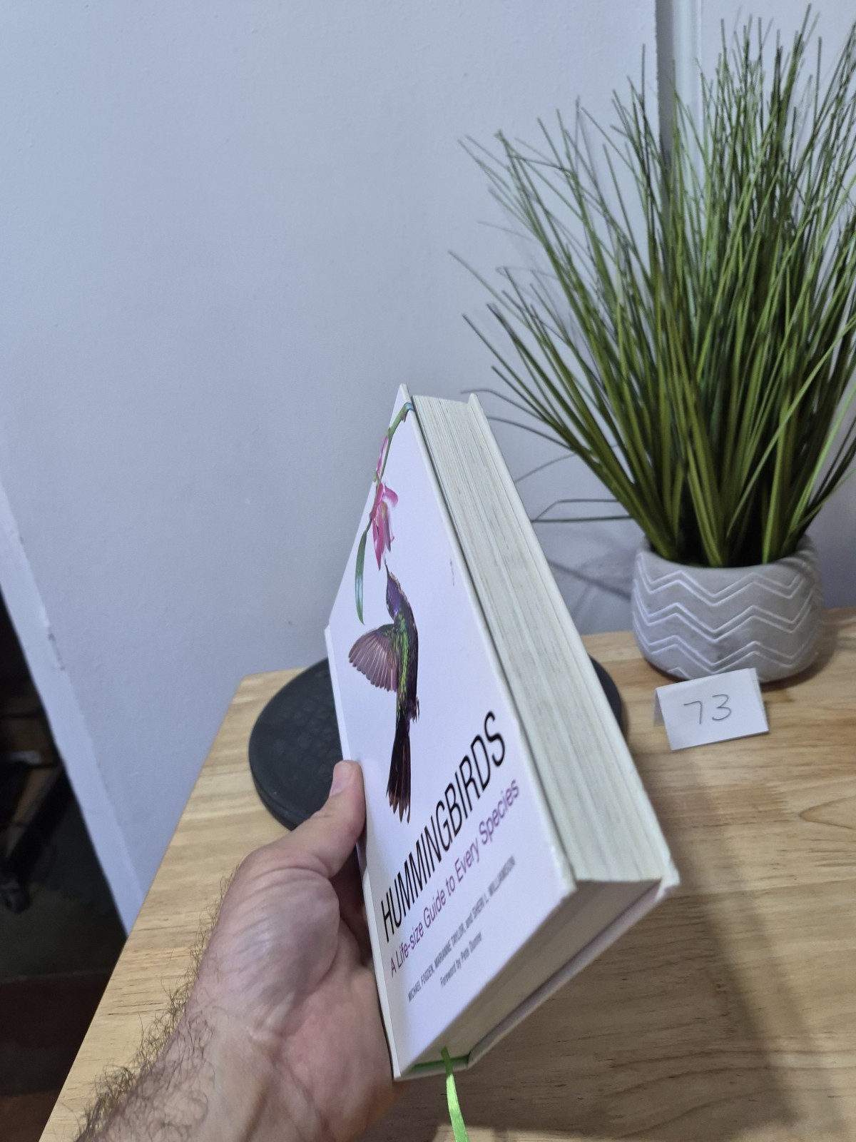Hummingbirds: A Life-size Guide to Every Species, Fogden, Michael, Taylor, Maria