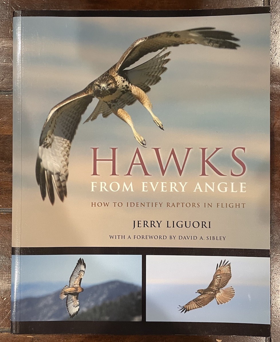 Hawks from Every Angle : How to Identify Raptors in Flight by Jerry Liguori