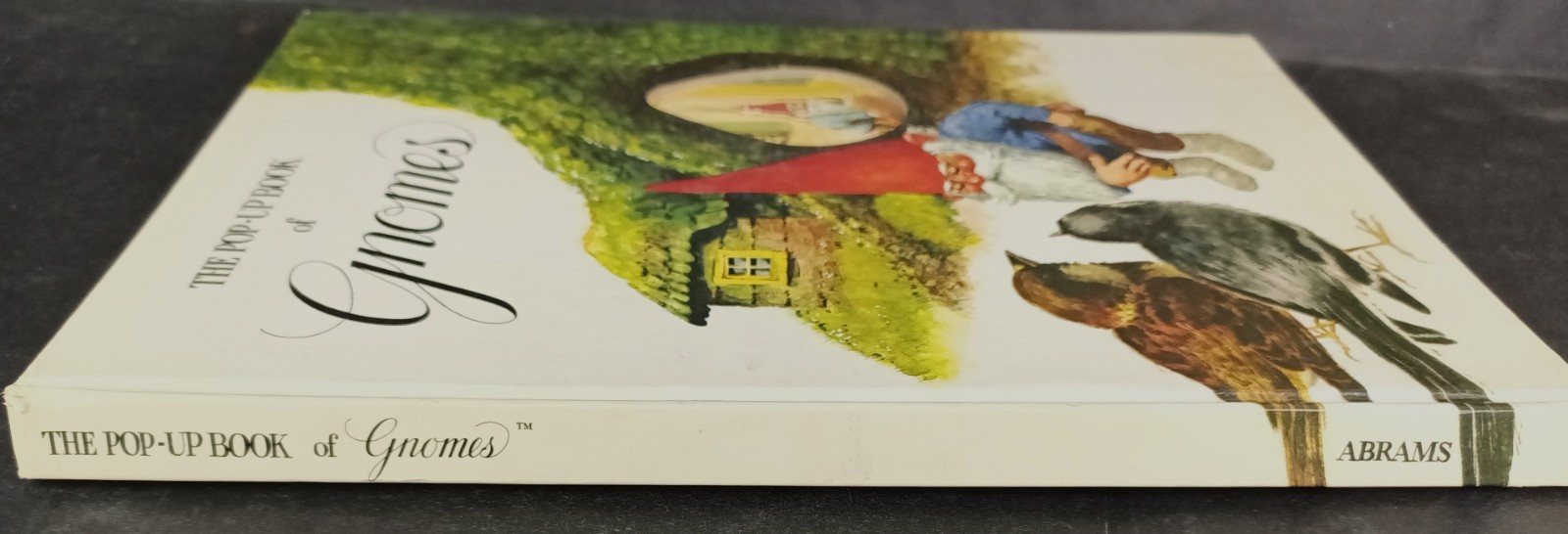 The Pop-Up Book of Gnomes ©1979 Vintage Abrams English Translation Cottagecore