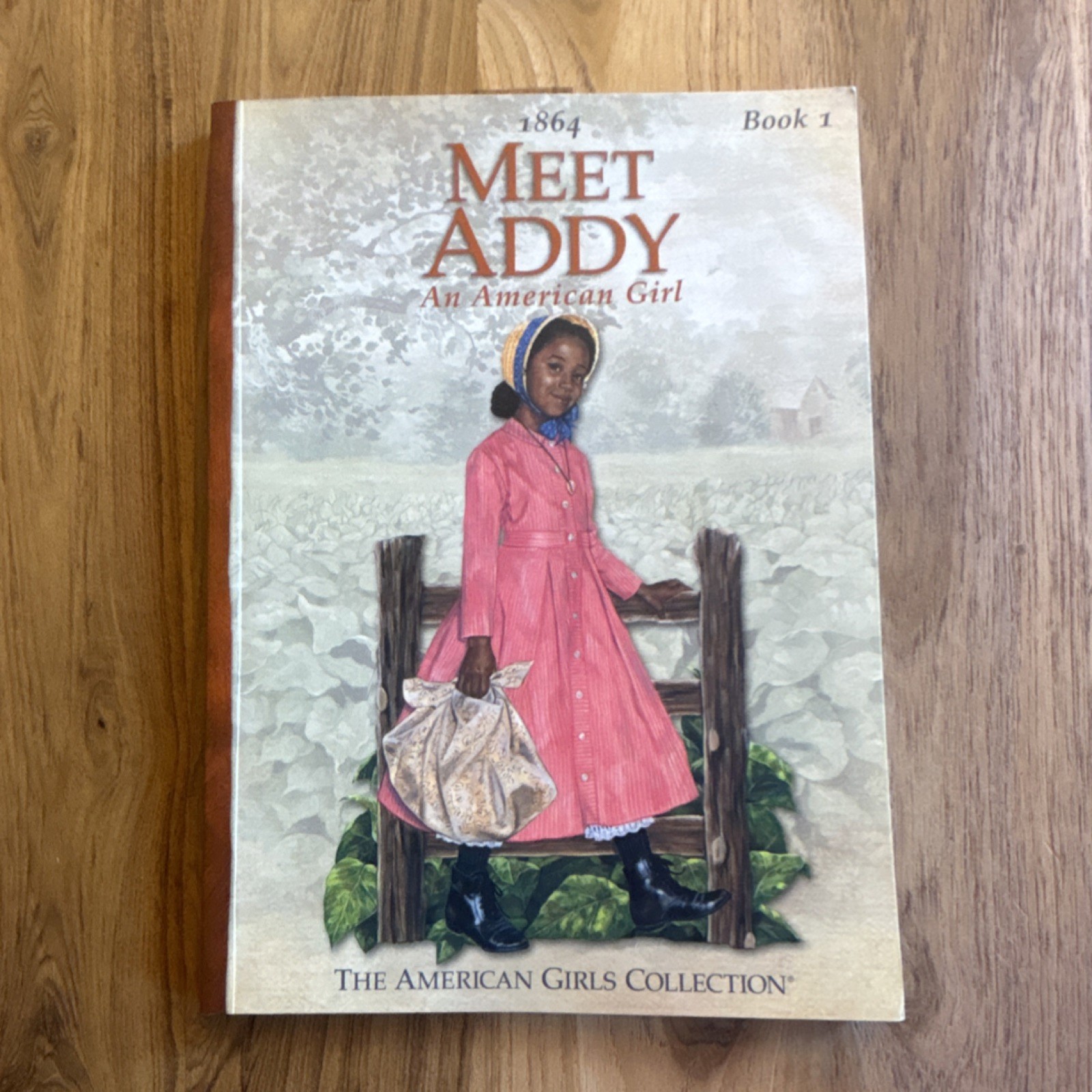 American Girls Collection Meet Addy by Connie Porter Paperback Ages 8+