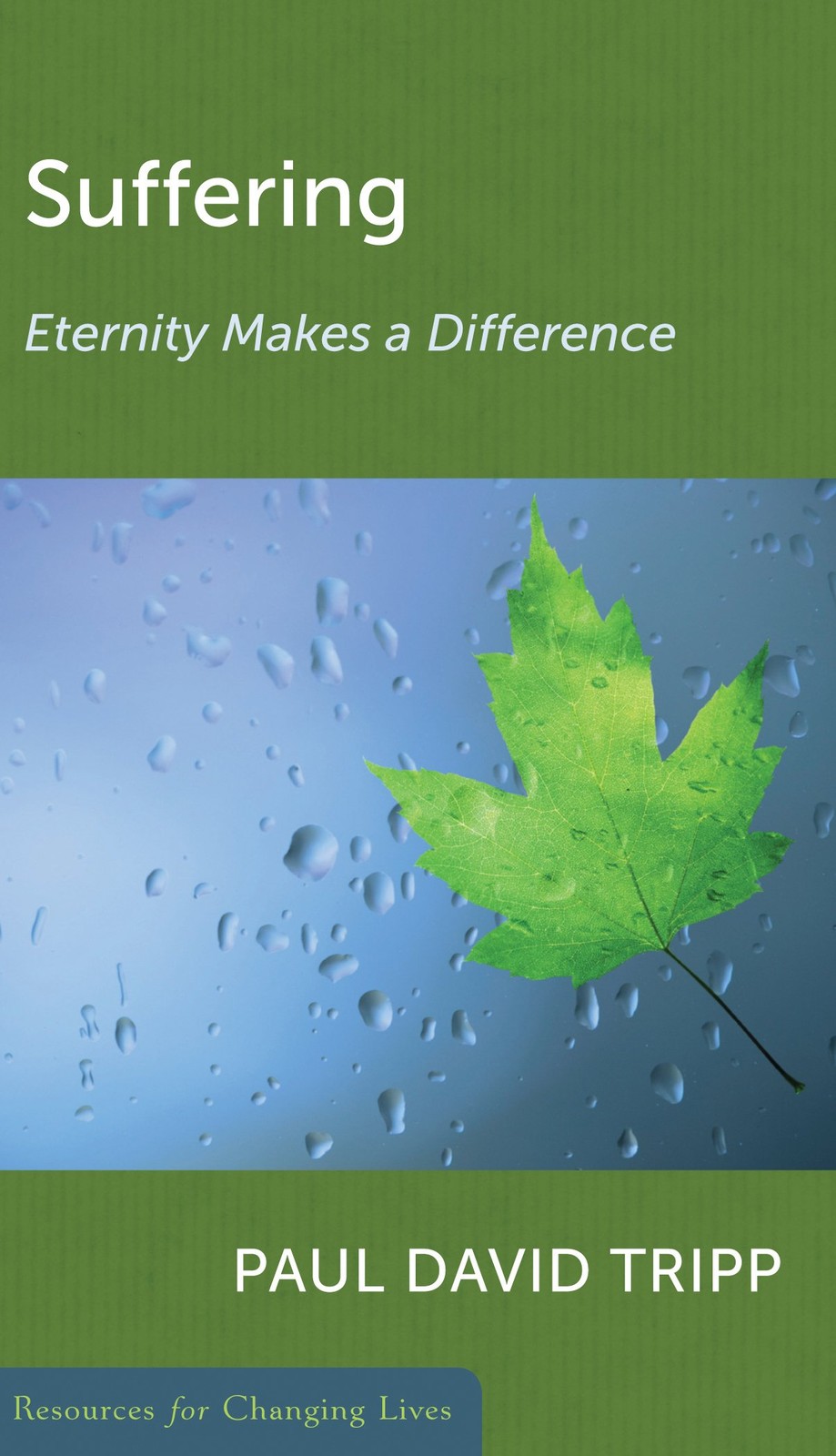 Suffering: Eternity Makes a Difference – paperback Tripp, Paul David