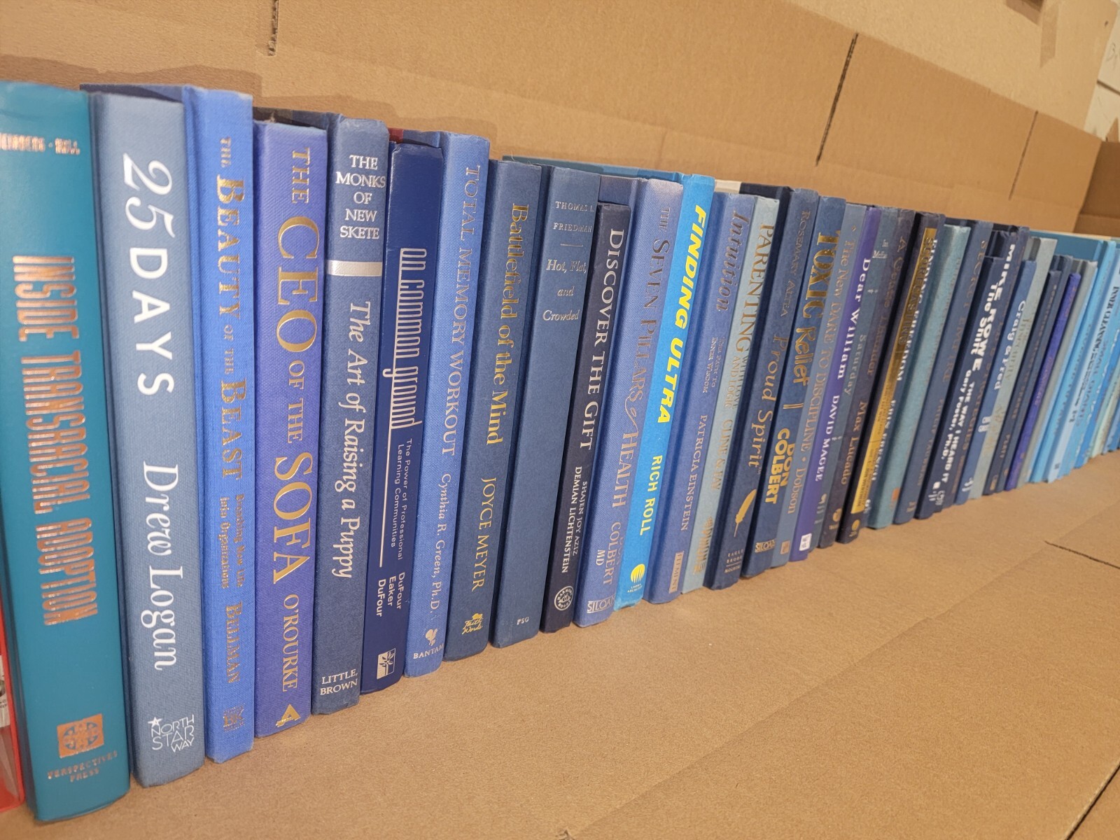 Lot of 10 Hardcover BLUE NAVY AQUA TEAL Shades Books for Staging Prop Decor