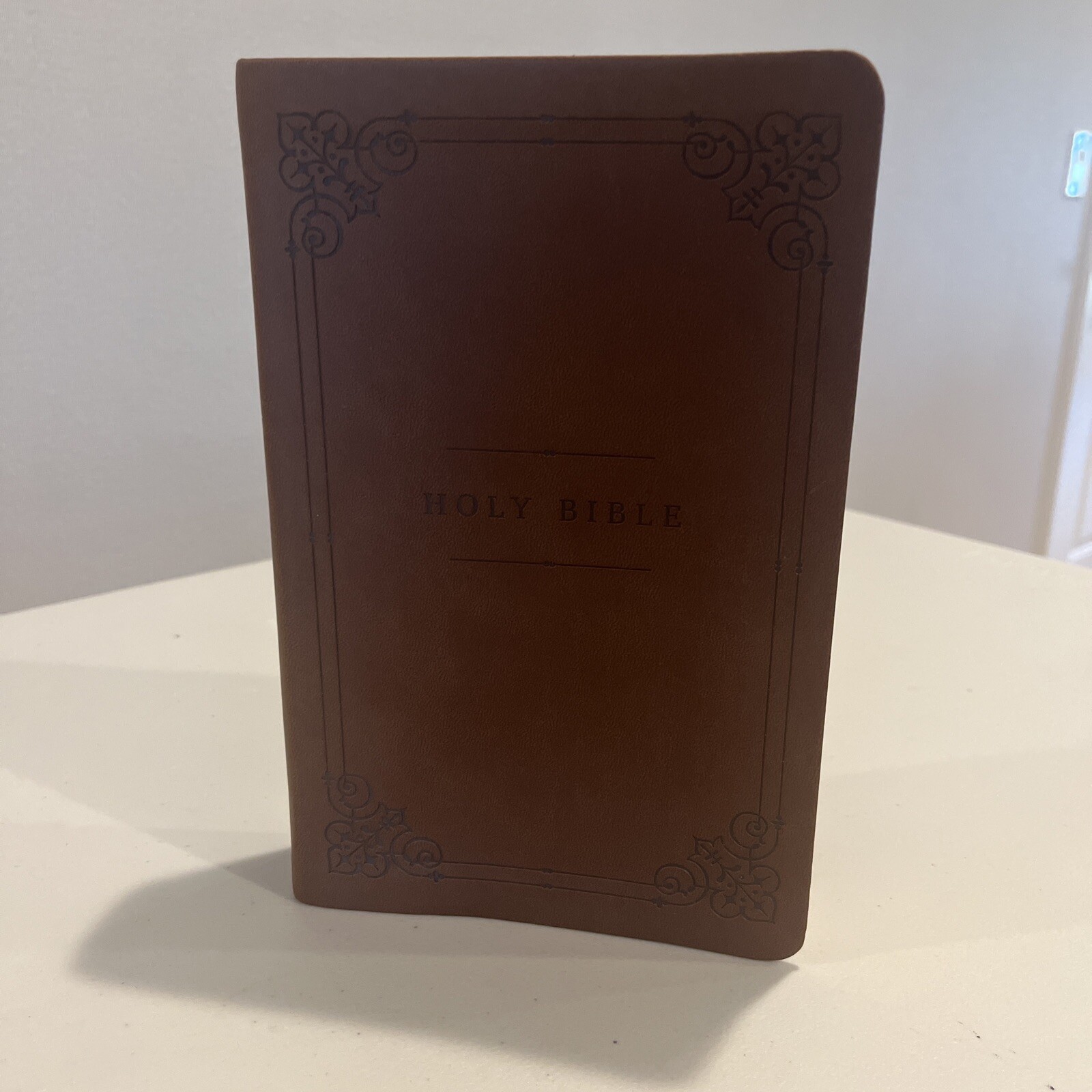 Holy Bible, Soft Touch Edition, Imitation Leather, Brown, Comfort