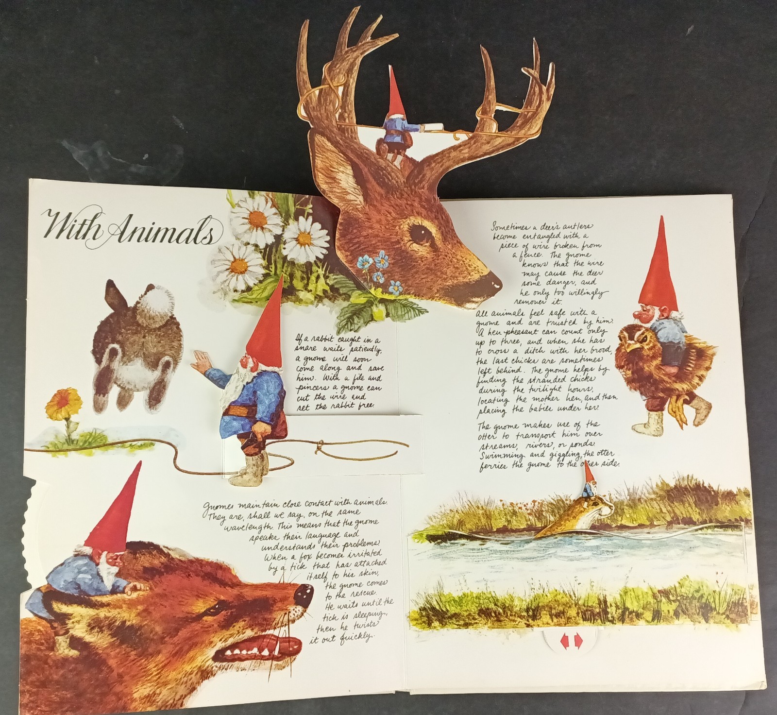 The Pop-Up Book of Gnomes ©1979 Vintage Abrams English Translation Cottagecore