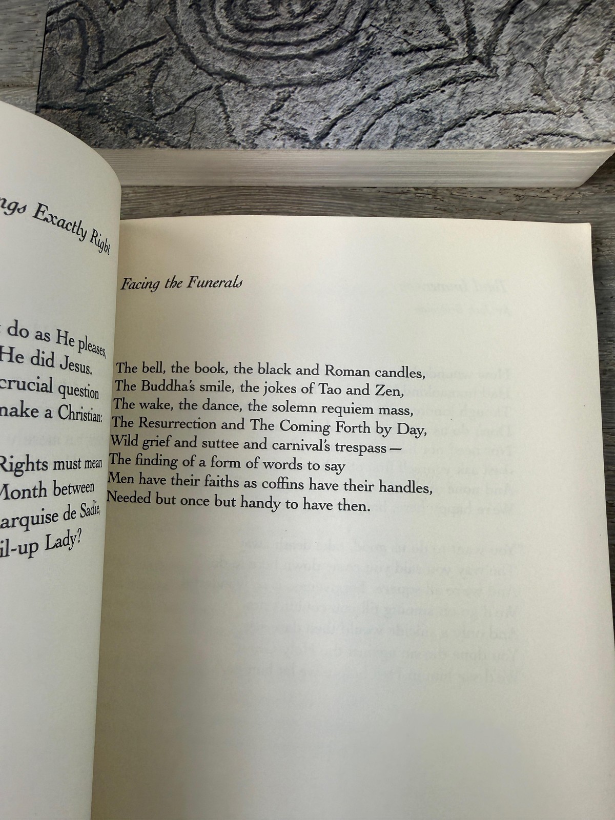 Vintage Poetry Lot Of 6 Heaney Perrine Kabir Nemerov Roethke Books Erotic Poems