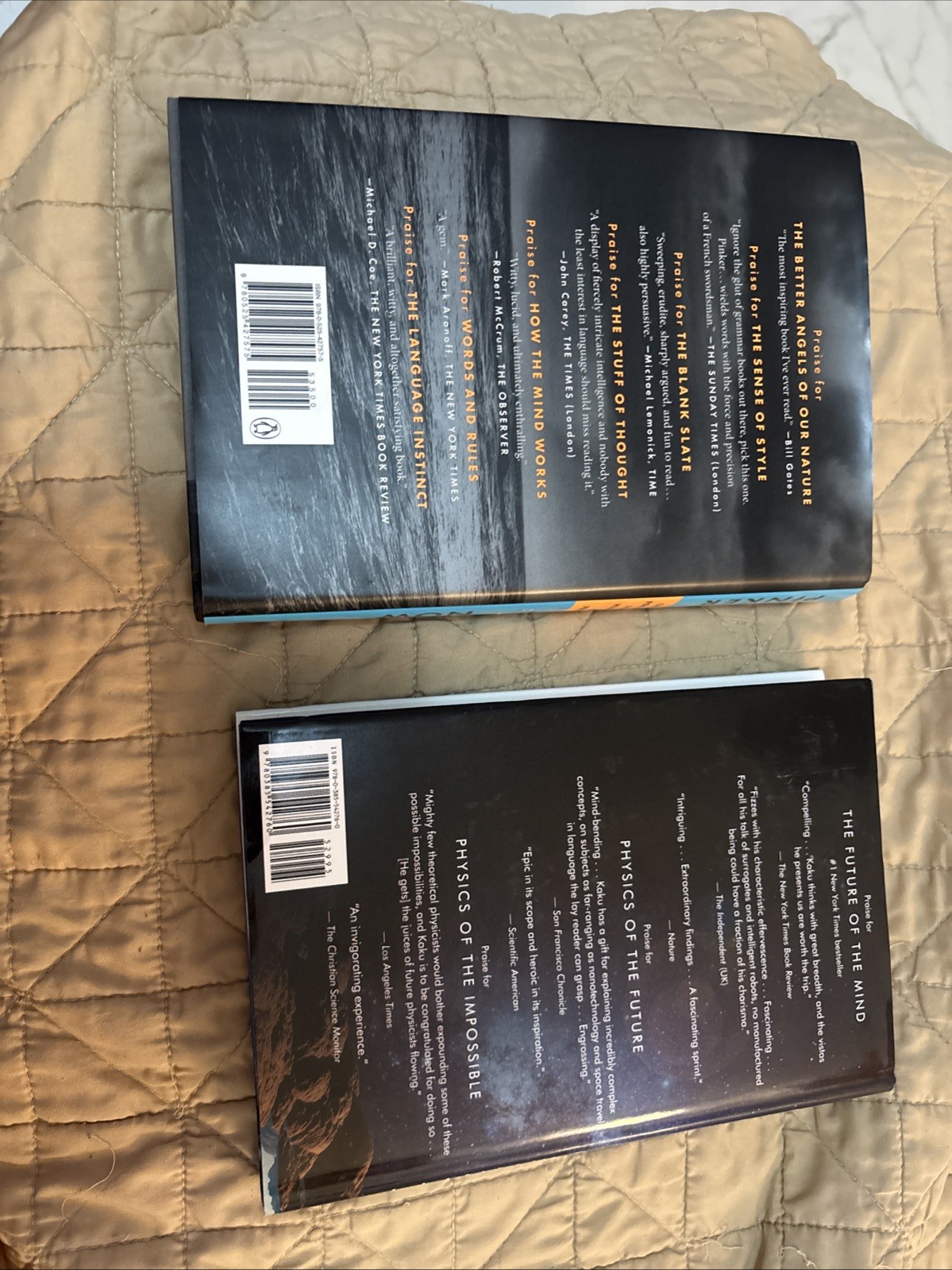 Steven Pinker And Michio kaku Books On Present And Future Of Life A$ Progress