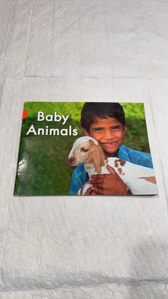Baby Animals Children’s Book by Pearson Scott Foresman
