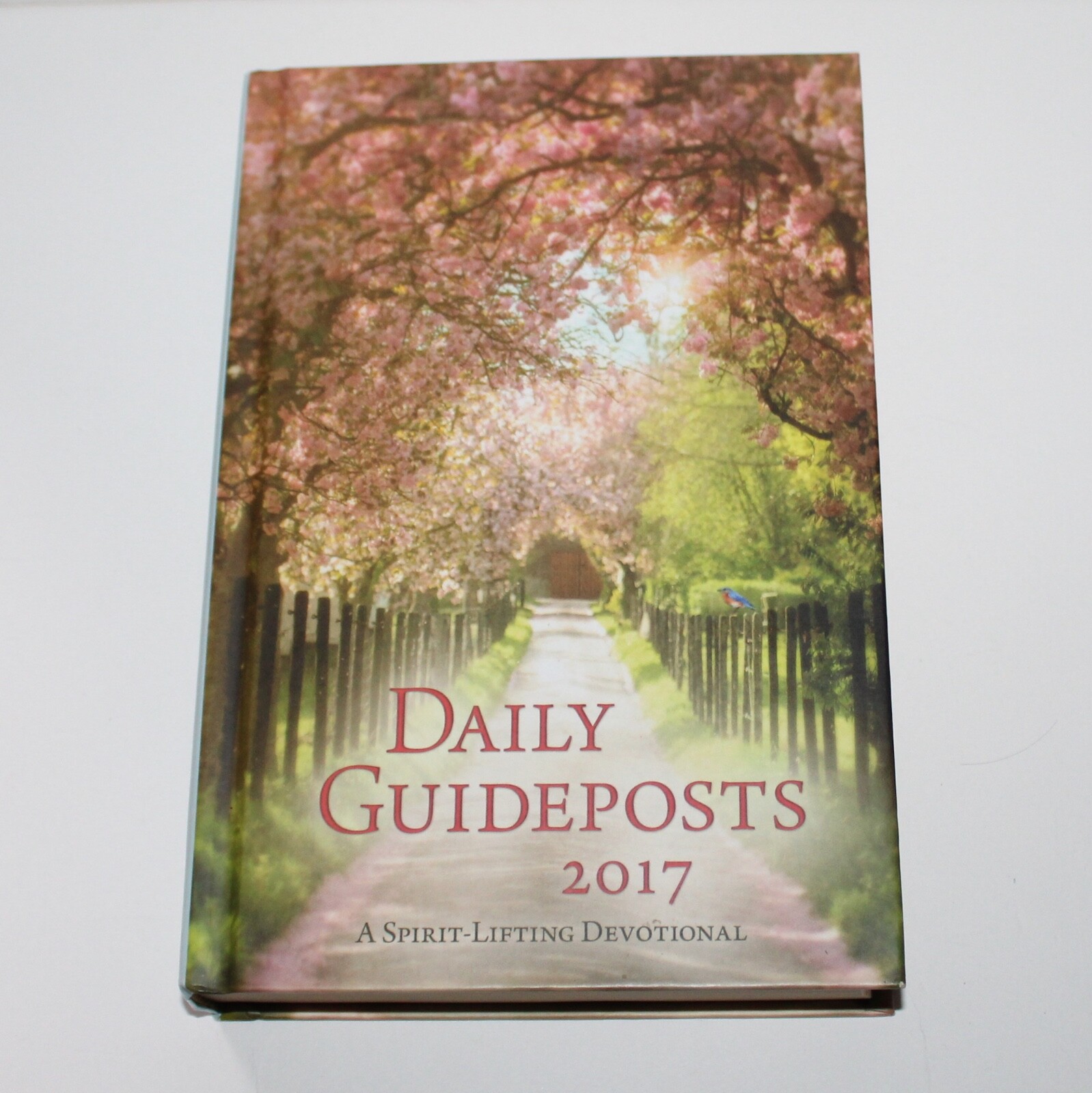 Daily Guideposts 2017 Spirit Lifting Devotional hardcover Scripture Bible