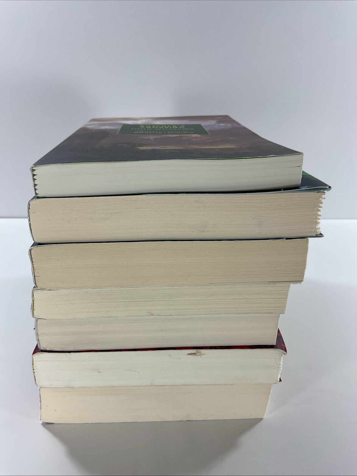 Contemporary Fiction by Ann Patchett Alex Michaelides and others PB lot of 7