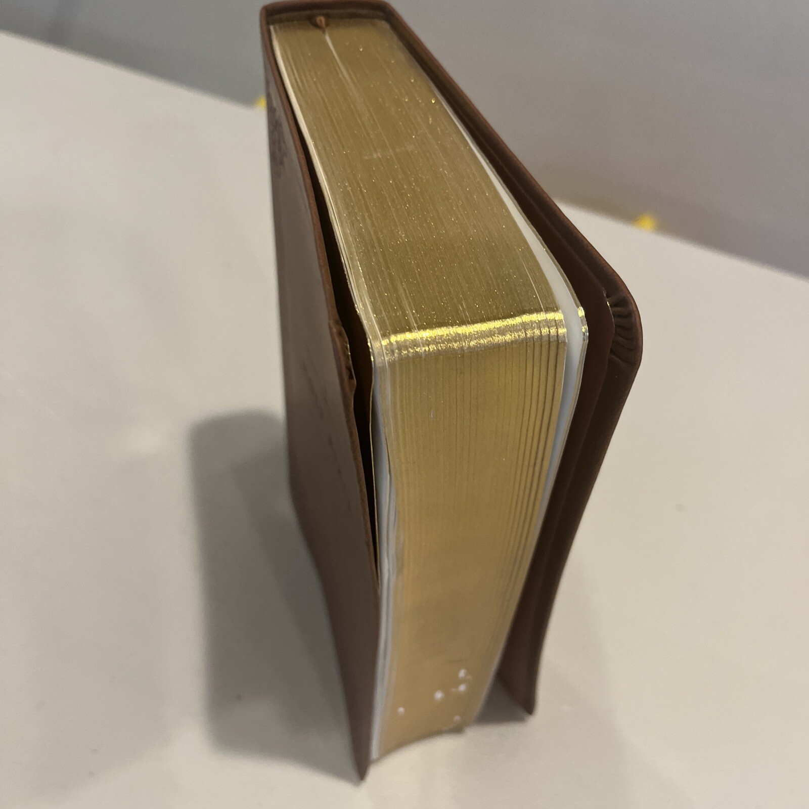 Holy Bible, Soft Touch Edition, Imitation Leather, Brown, Comfort