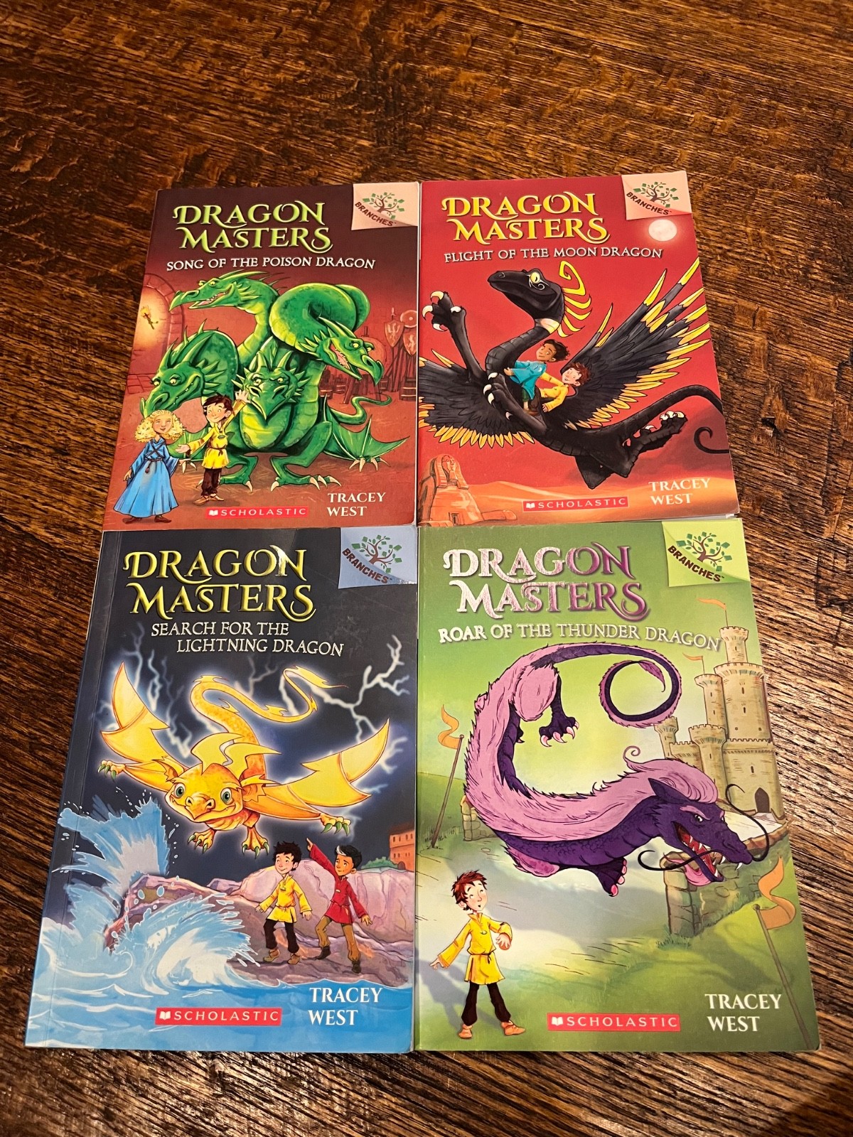 Dragon Masters Books 5-8 Scholastic Fantasy Adventure Paperback Set