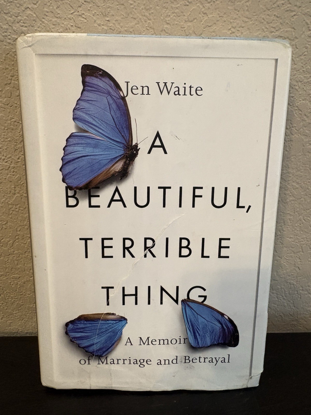 A Beautiful, Terrible Thing By Jen Waite Hardback New A Memoir Of Marriage…