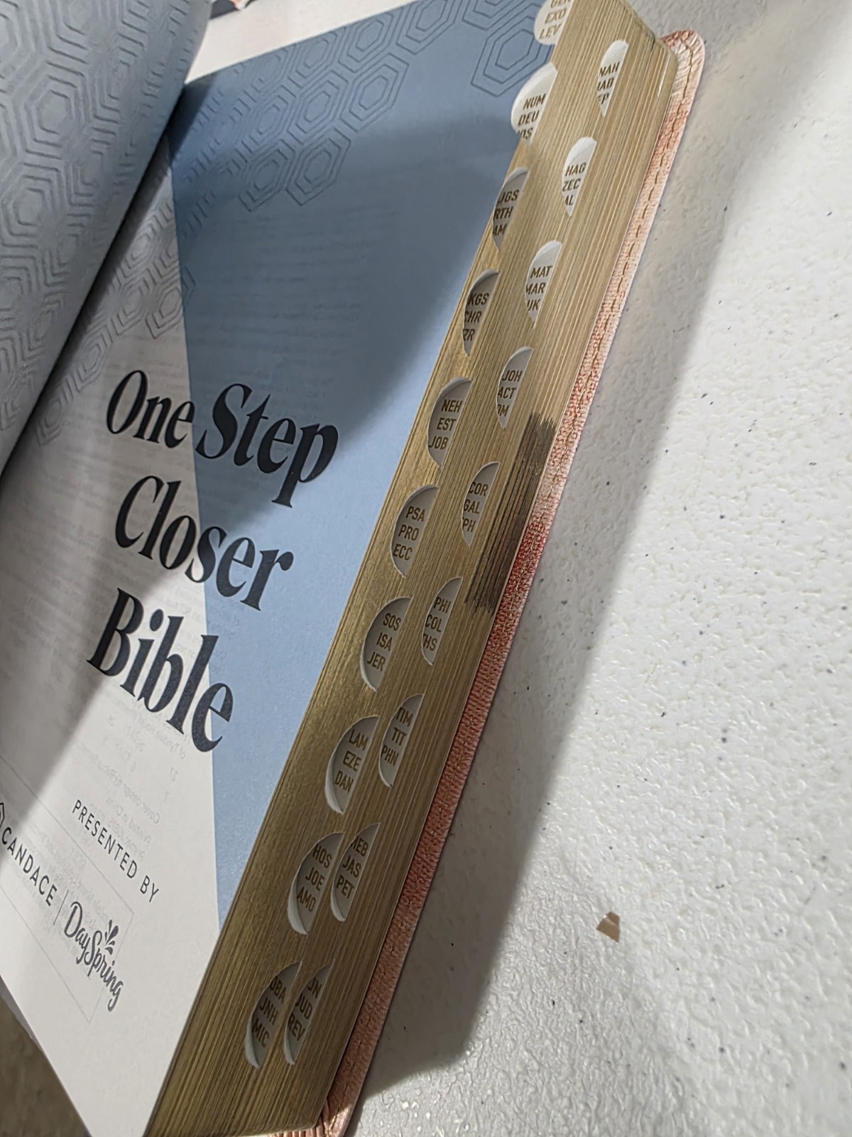 One Step Closer Bible NLT Candace Cameron Bure, Leatherlike, Pink Watercolor