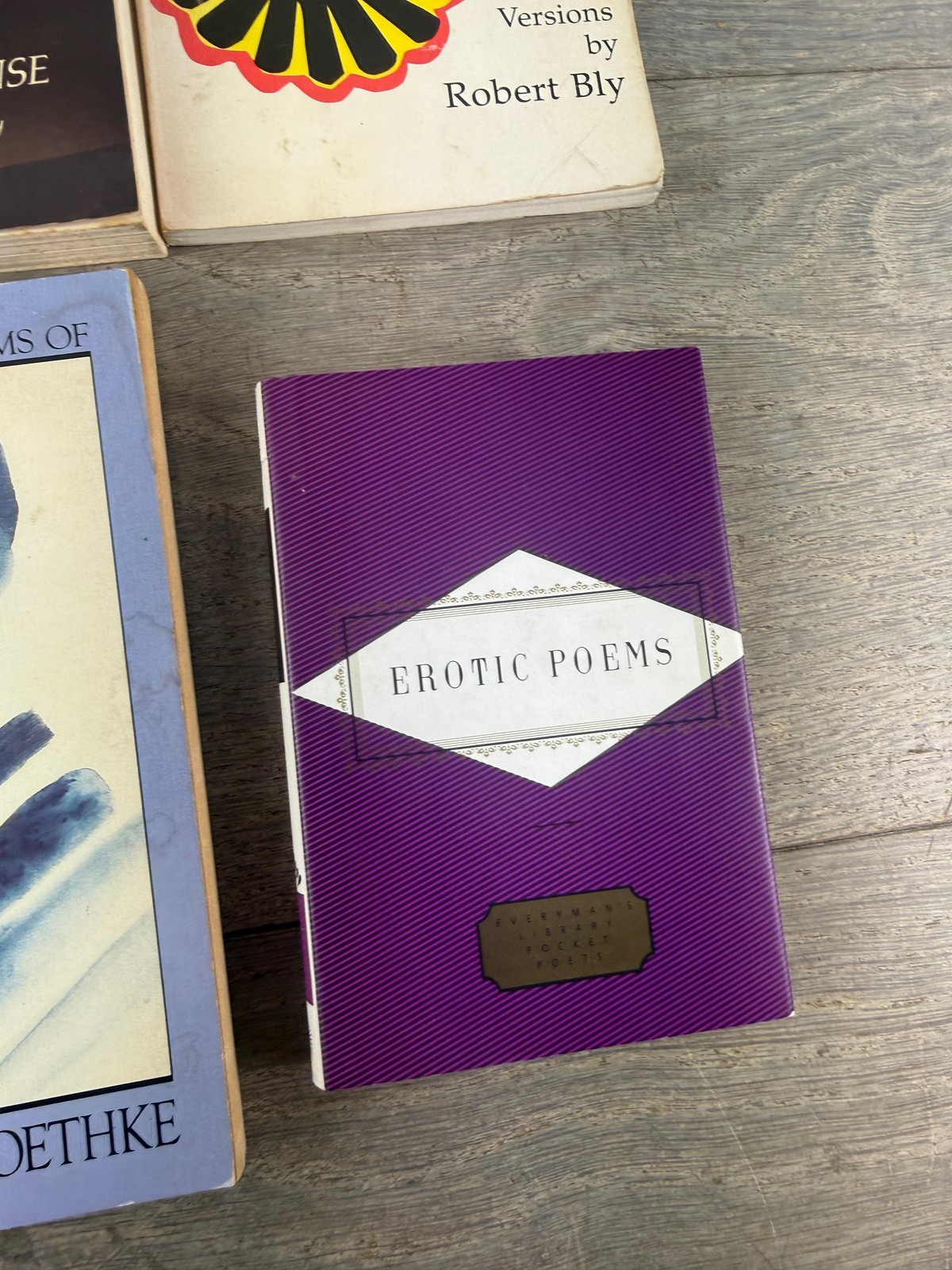Vintage Poetry Lot Of 6 Heaney Perrine Kabir Nemerov Roethke Books Erotic Poems