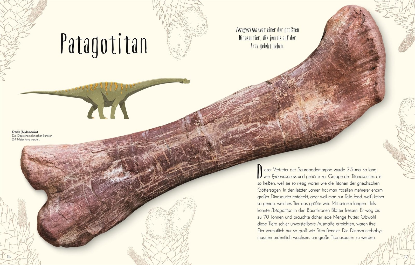 Wundervolle Welt der Dinosaurier und der Urzeit Anusuya Chinsamy-Turan