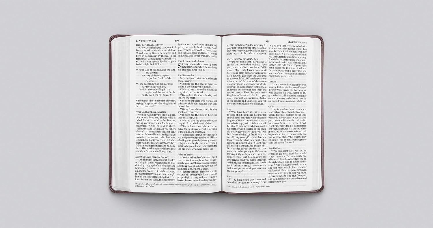 Large Print Value Thinline Bible (Trutone, Mahogany, Border Design)