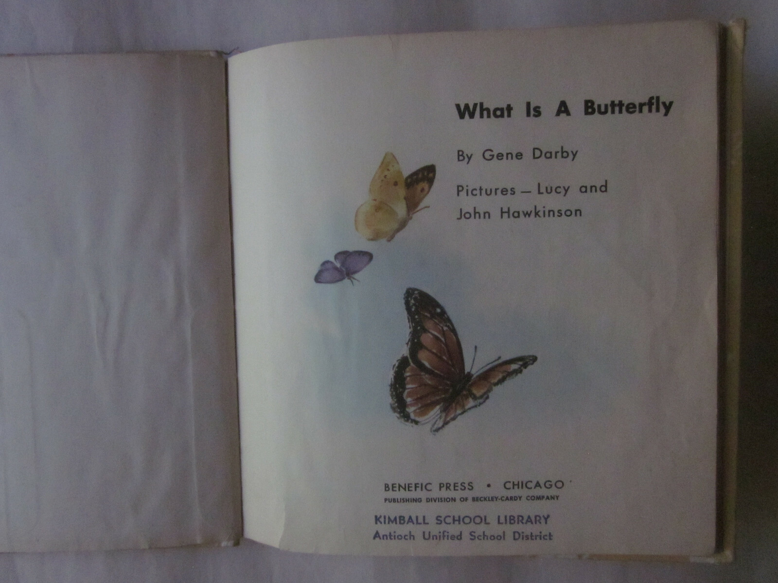 What is a Butterfly by Gene Darby (1958 Hardcover) good