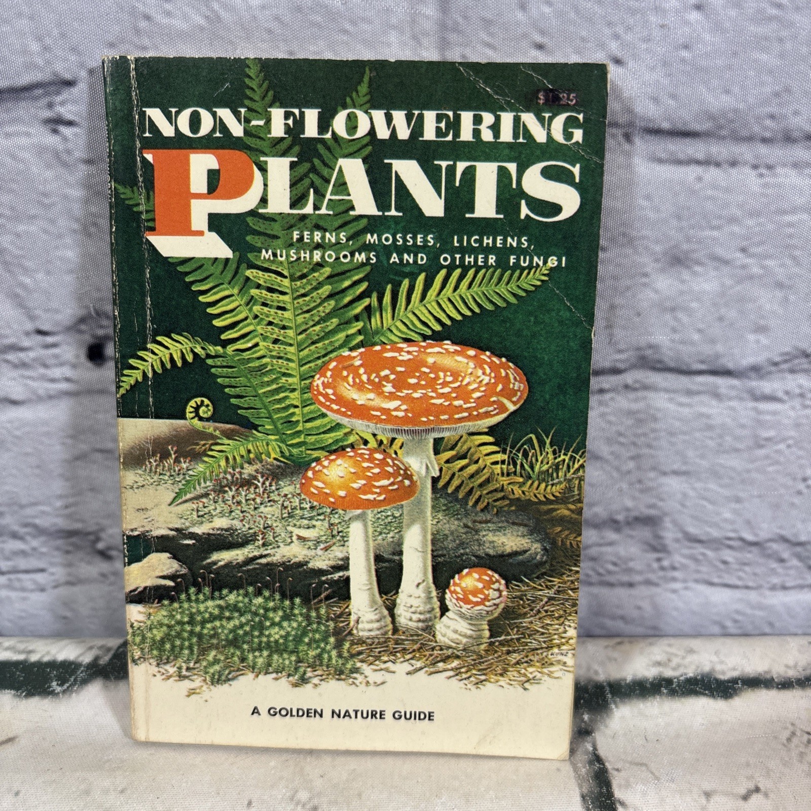 VTG 1967 Non Flowering Plants – Mushrooms and Other Fungi – Full Color Paperback