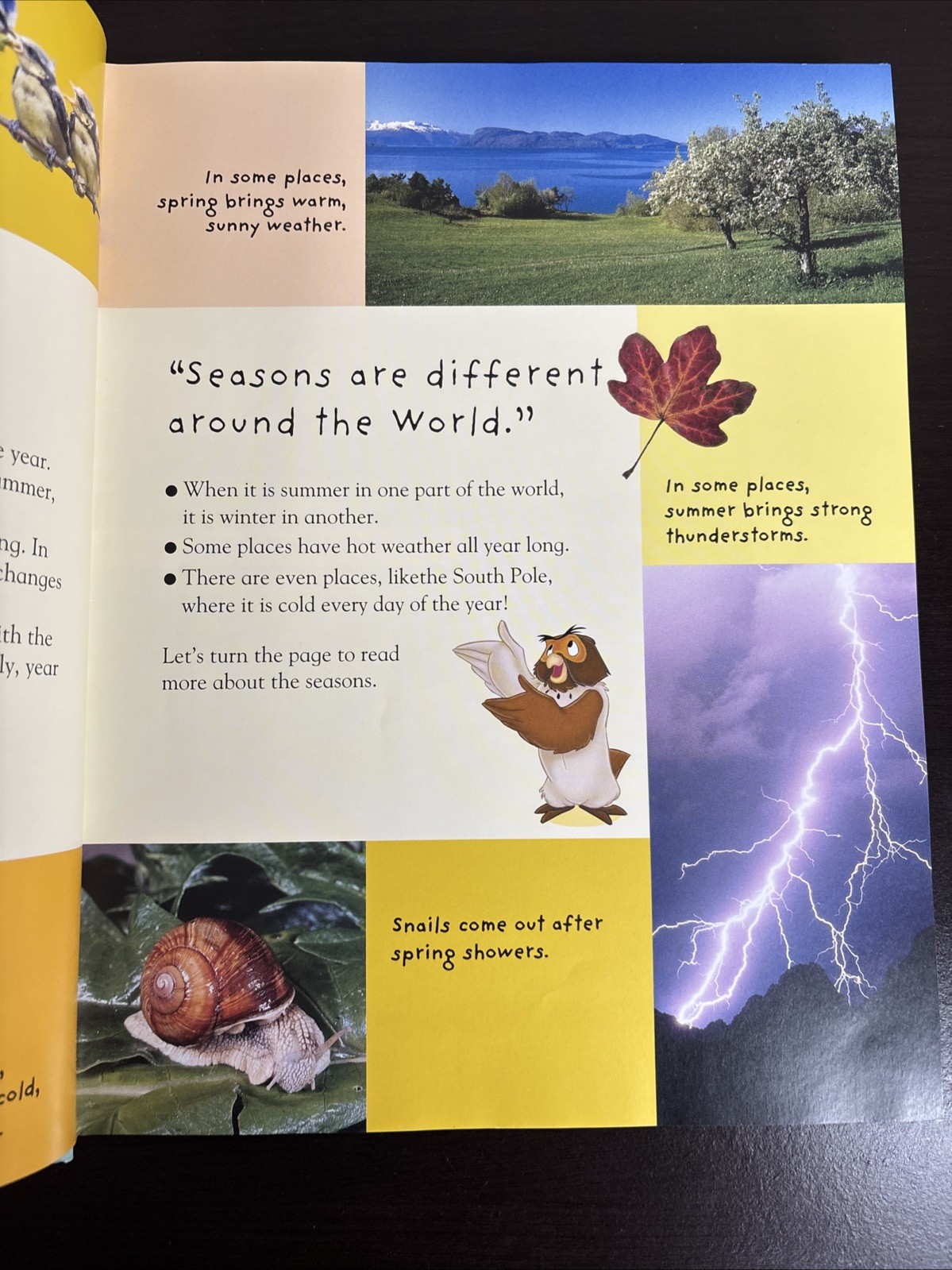 My Very First Encyclopedia with Winnie the Pooh and Friends Ser.: My Very First
