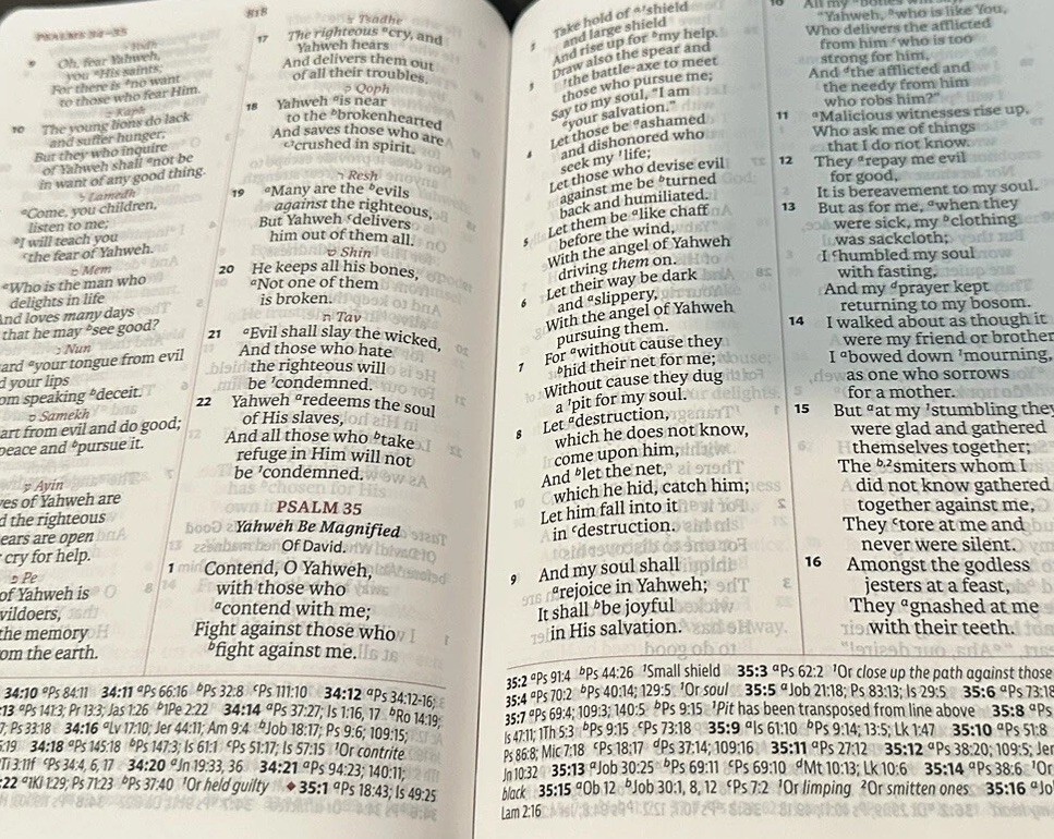Lsb Legacy Standard Bible Portable Paragraph Reference Red Leather