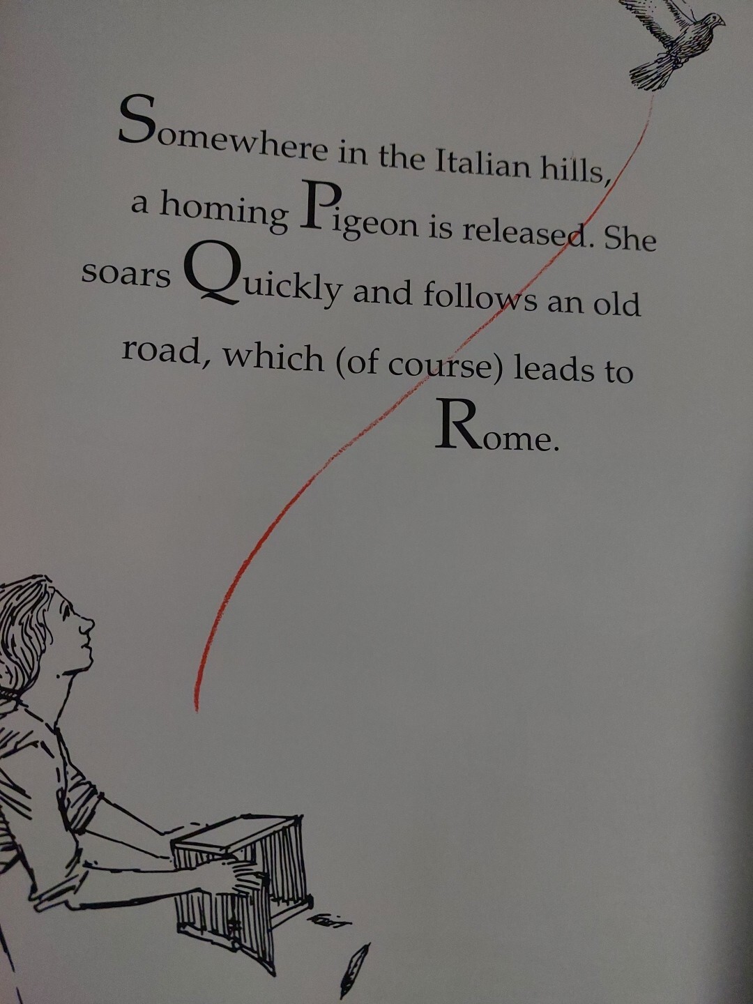 ROME ANTICS By David Macaulay Hardback Dustjacket Dorling Kindersley 1998