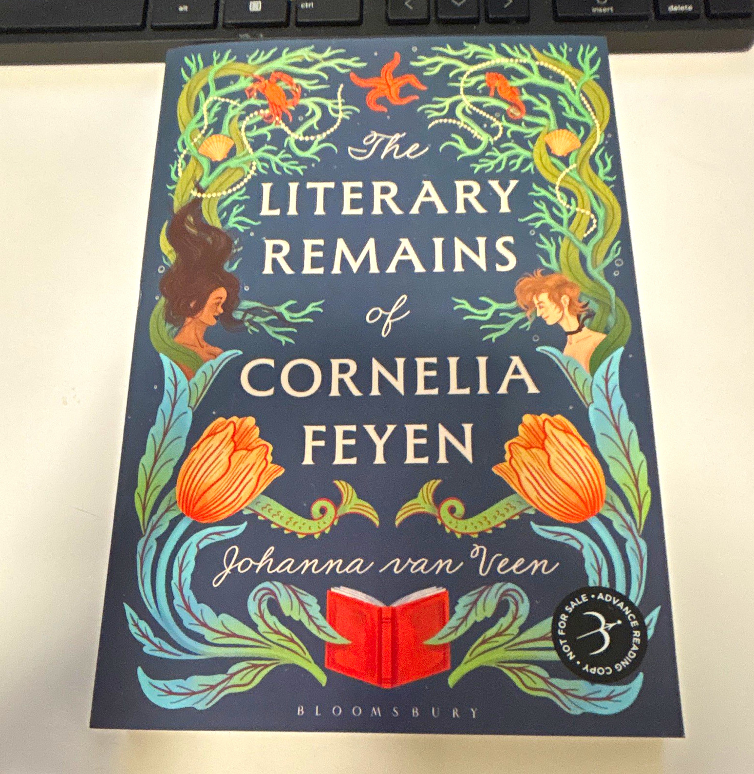 The Literary Remains of Cornelia Feyen by Johanna van Veen Fantasy ARC