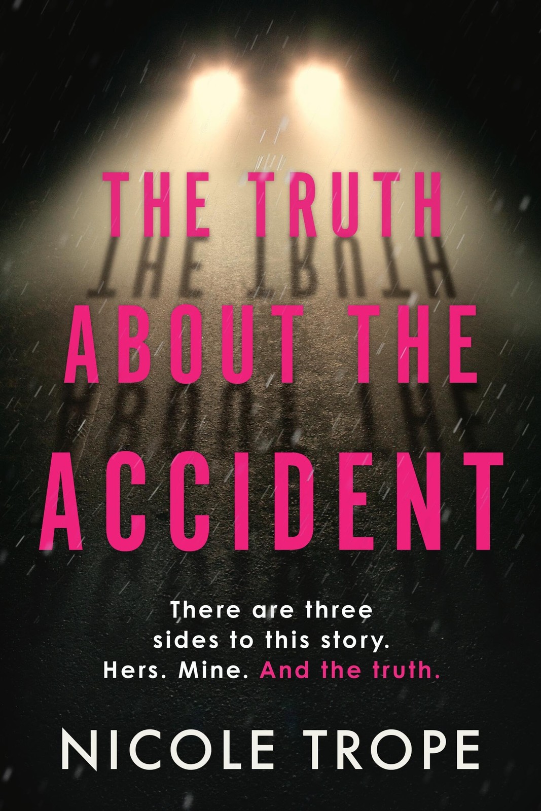 The Truth About the Accident – paperback Trope, Nicole