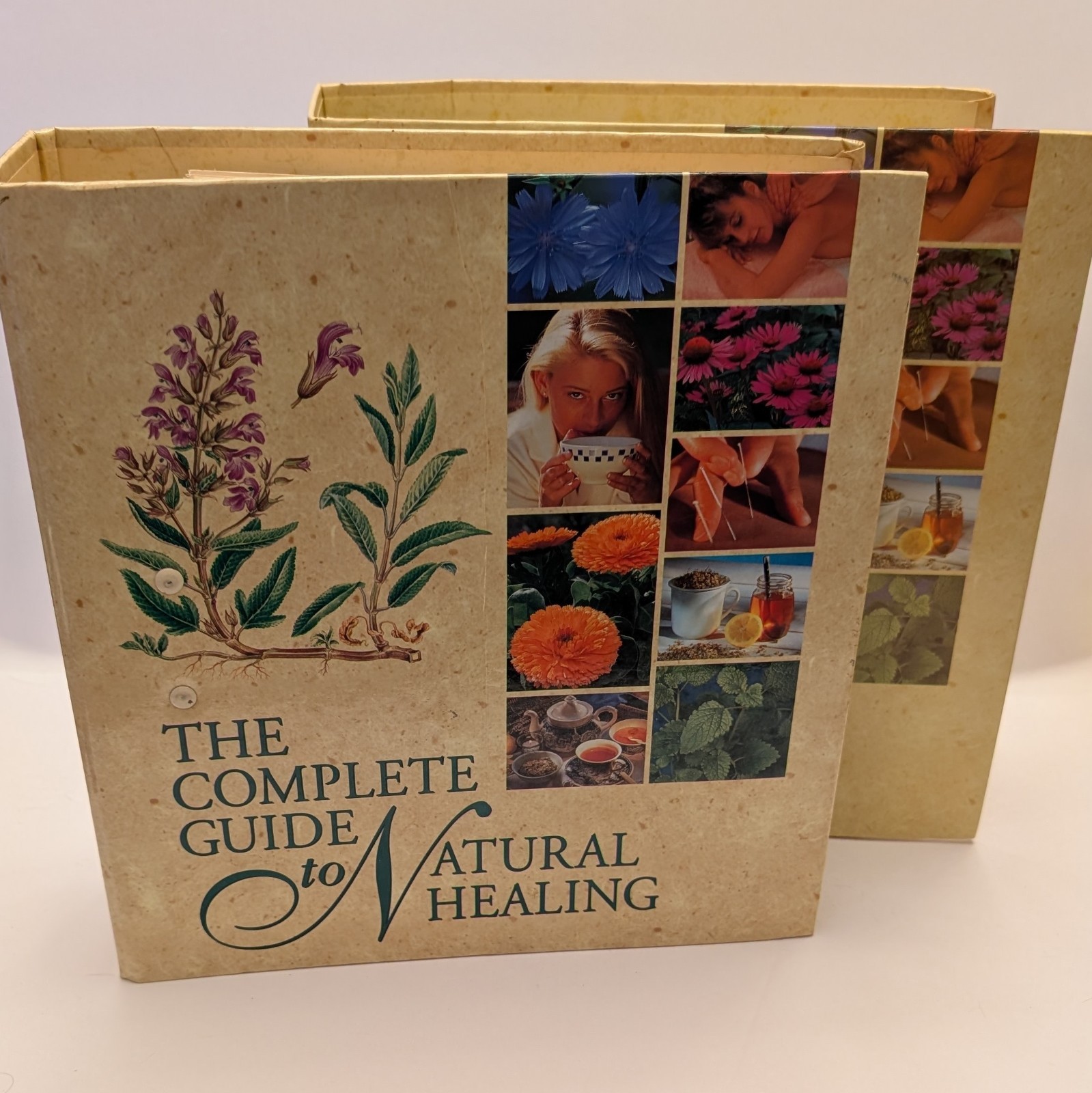 The Complete Guide to Natural Healing Groups Books In 2 Binders 1-4 & 9-13