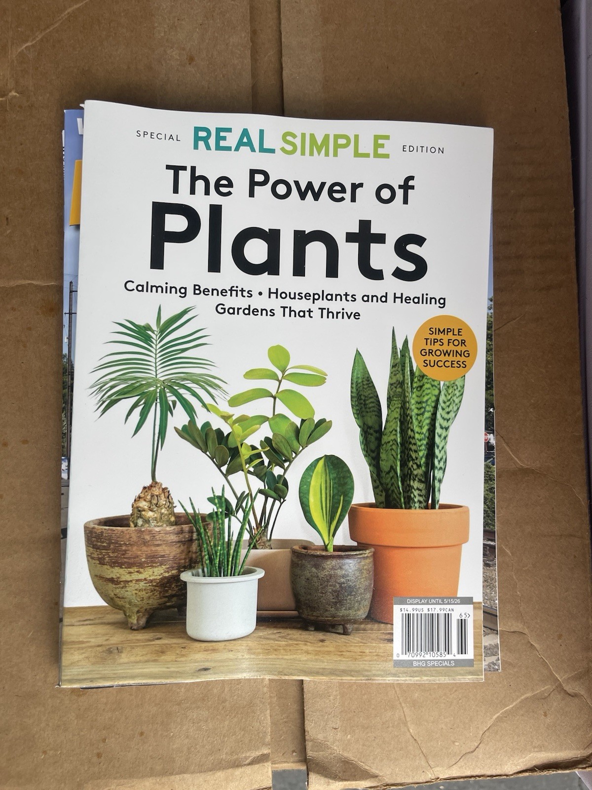 3x The Power Of PLANTS: Real Simple Magazine 2026 ~ Healing ~ Gardens Thrive