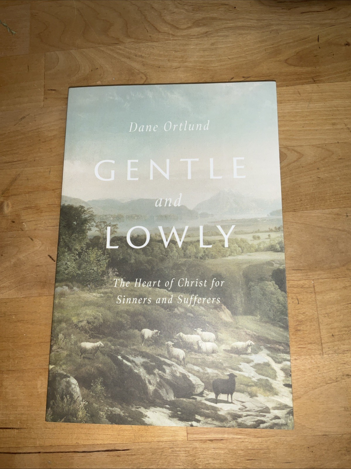 Gentle and Lowly : The Heart of Christ for Sinners and Sufferers by Dane Ortlund