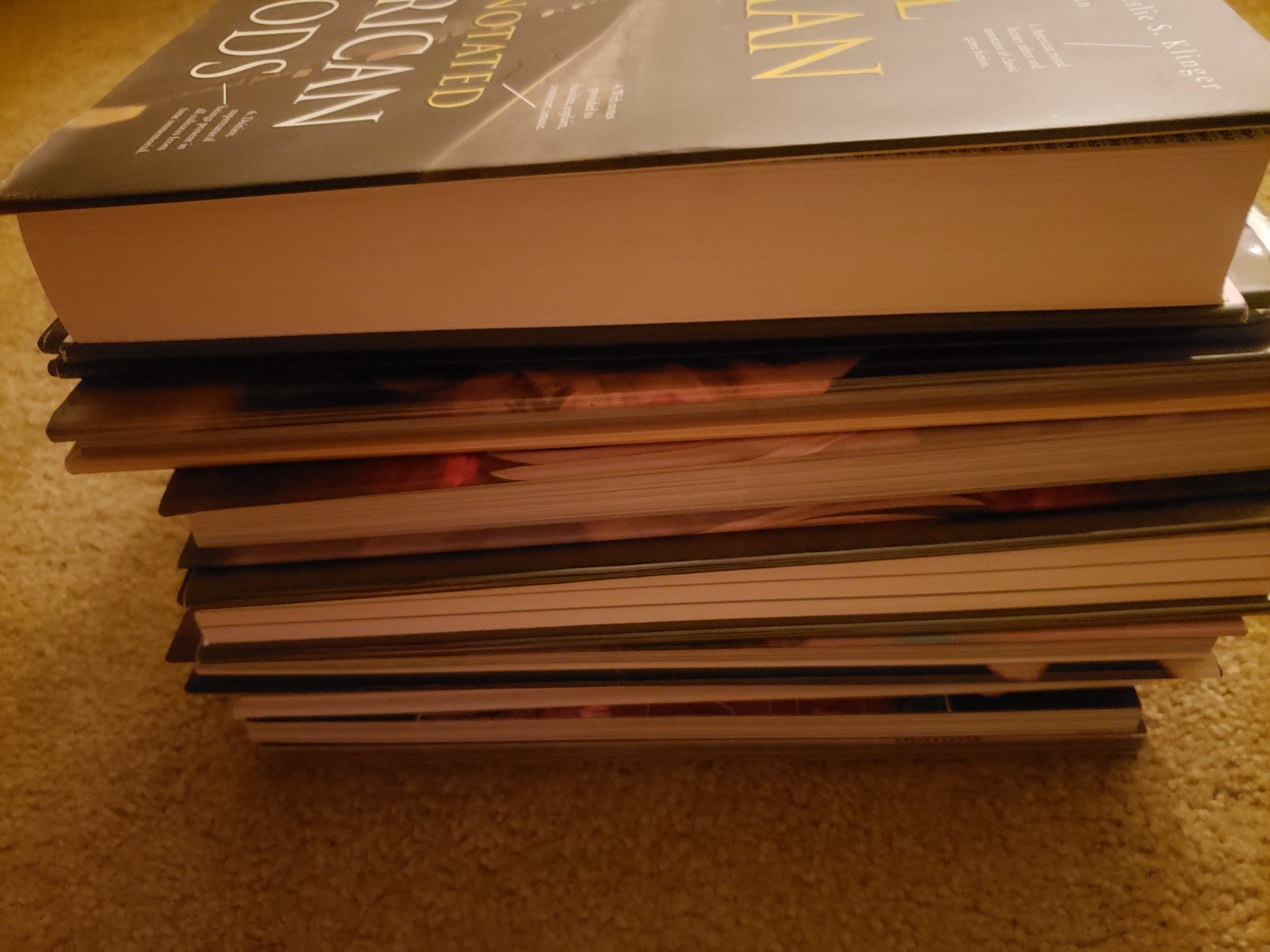 Neil Gaiman 9 Book Lot + tarot card set American Gods good omens + more
