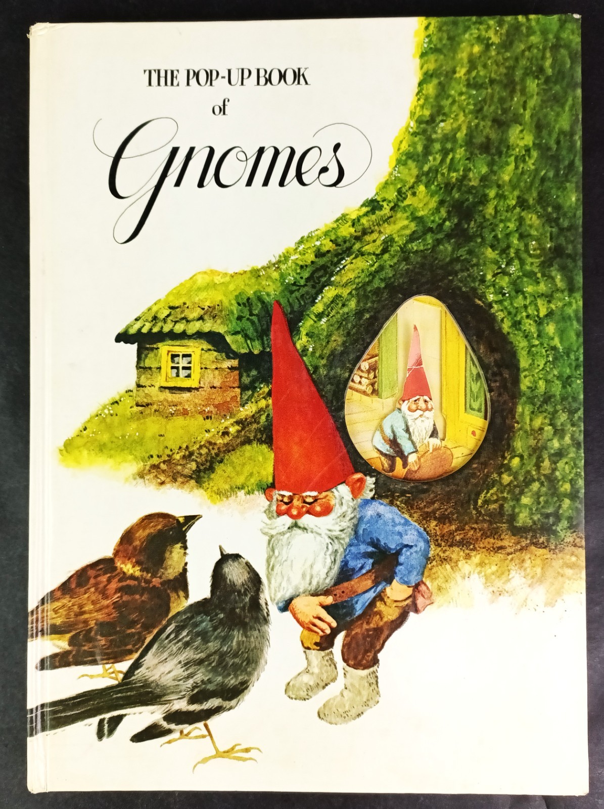 The Pop-Up Book of Gnomes ©1979 Vintage Abrams English Translation Cottagecore