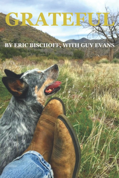 Grateful Paperback Eric, Evans, Guy Bischoff