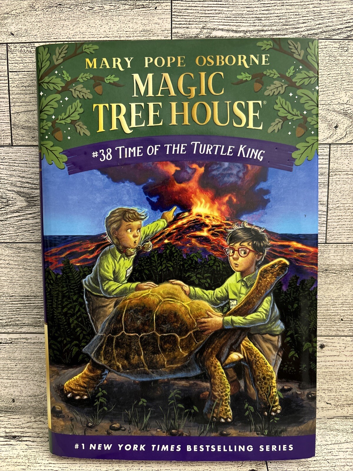 Time of the Turtle King (Magic Tree House) by Mary Pope Osborne #38