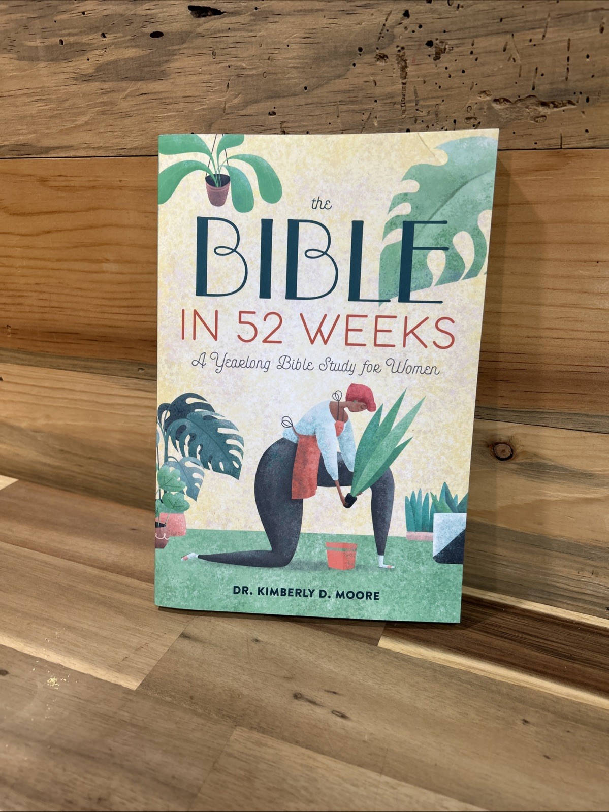 Rockridge Press The Bible in 52 Weeks Dr. Kimberly D. Moore Paperback Great Cond