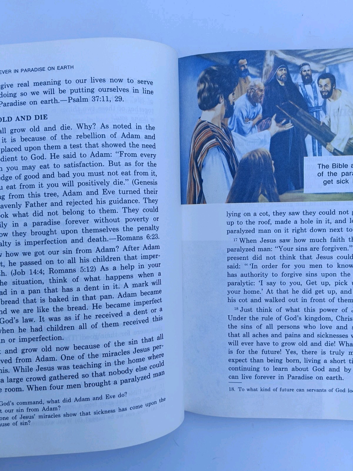 You Can Live Forever in Paradise on Earth 1982 1st Ed Watchtower Jehovah Witness