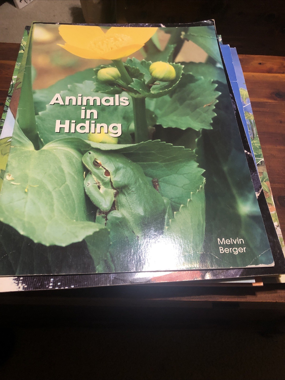 TEACHER BIG BOOKS – Many Different Book Titles – Only $18 Each – Free Shipping