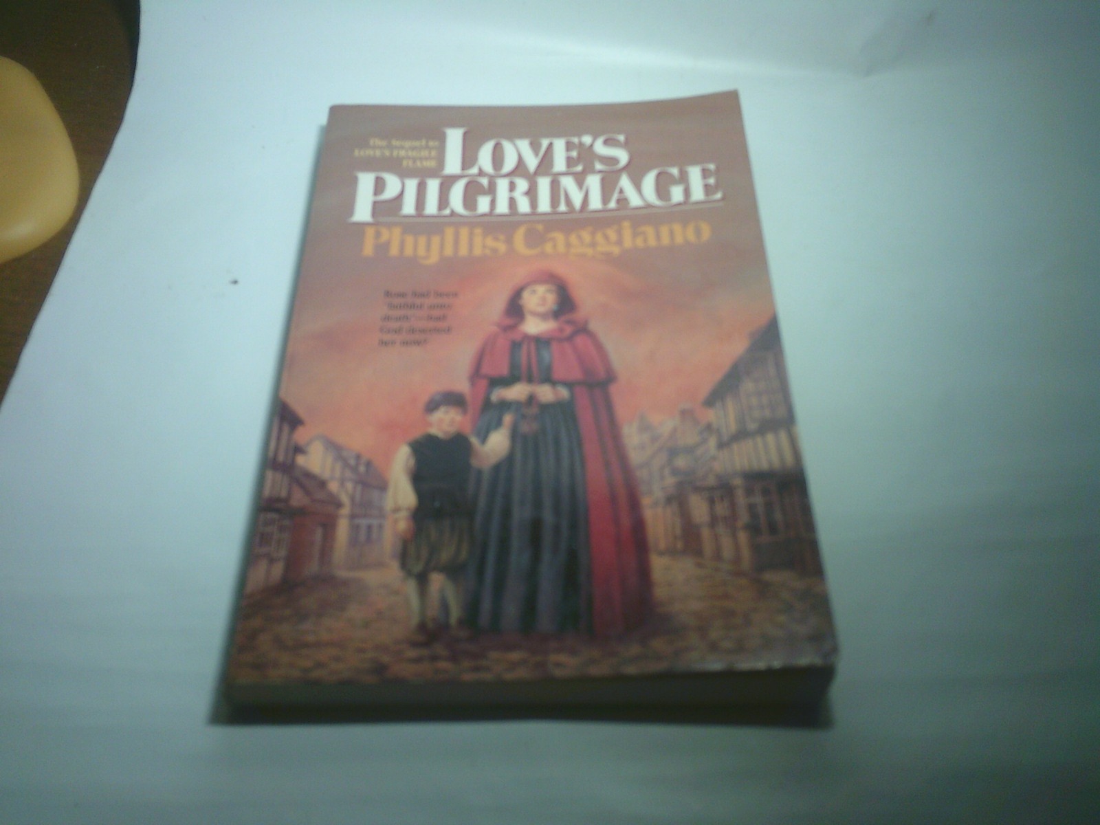 Love’s Pilgrimage by Phyllis Caggiano Part of the Bethany Publshing Love Series