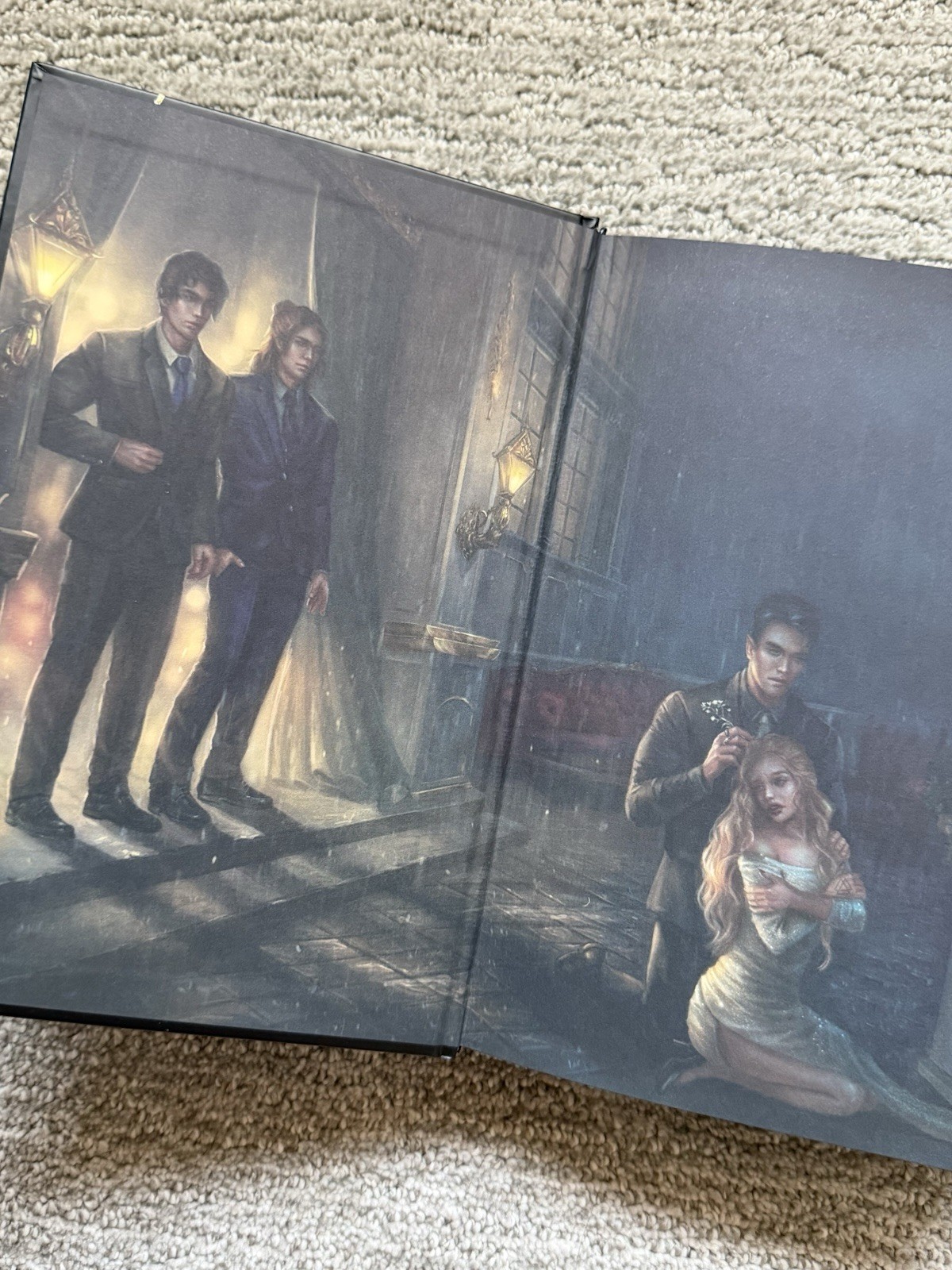 Rain Of Shadows and Endings-Books for days crate exclusive special edition w/art