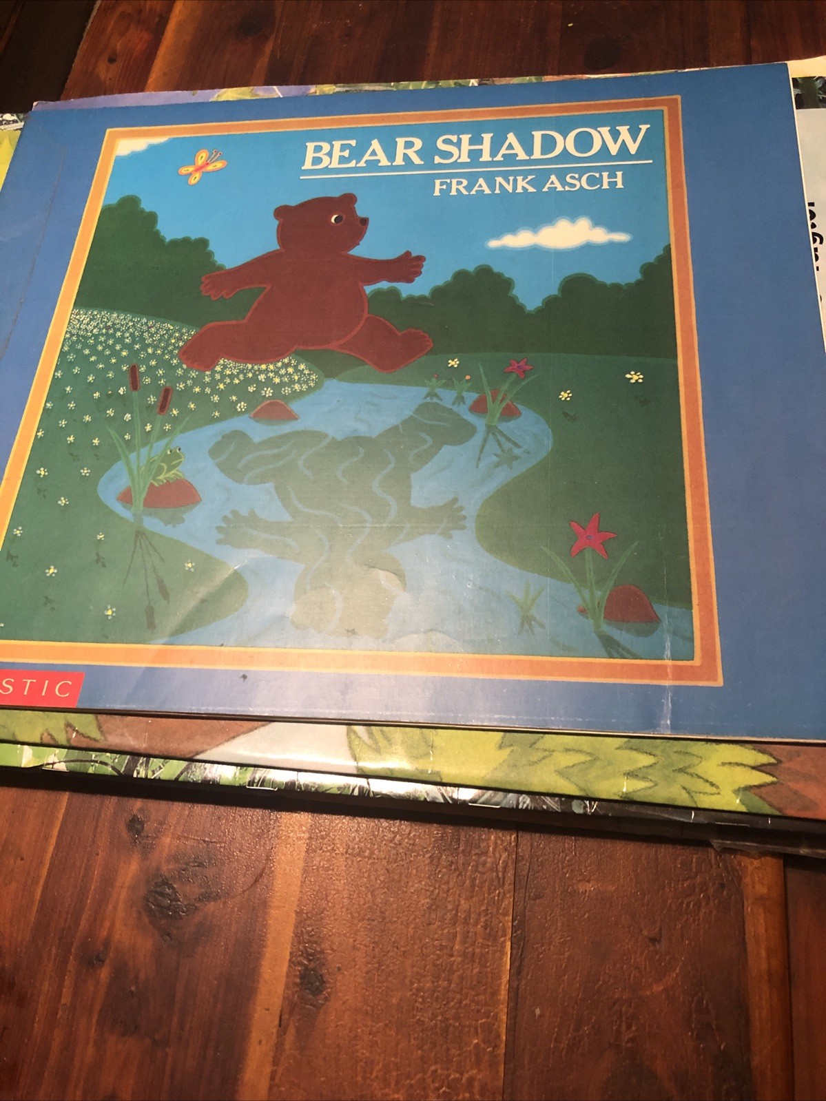 TEACHER BIG BOOKS – Many Different Book Titles – Only $18 Each – Free Shipping